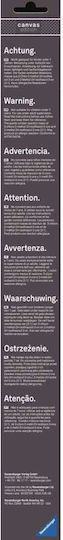 Ravensburger Ζωγραφική