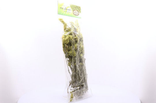 Ιlios Organic Product Mountain Tea 50gr