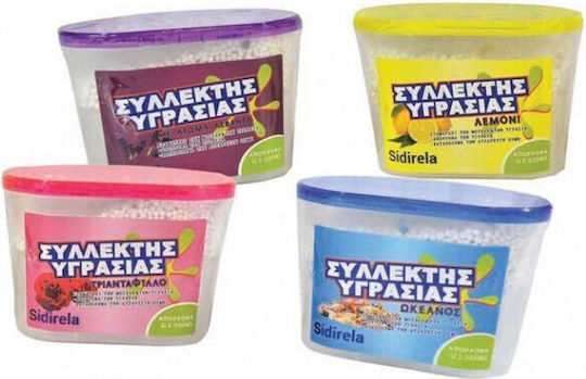Sidirela Moisture Absorber Scented Vanilla E-1275-1 230gr