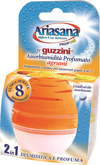 Ariasana Moisture Absorber Guzzini with Scent Orange 248148 45gr