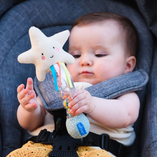 Taf Toys Rattle Rainstick for 0++ Months