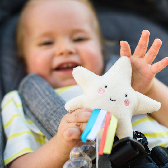 Taf Toys Rattle Rainstick for 0++ Months