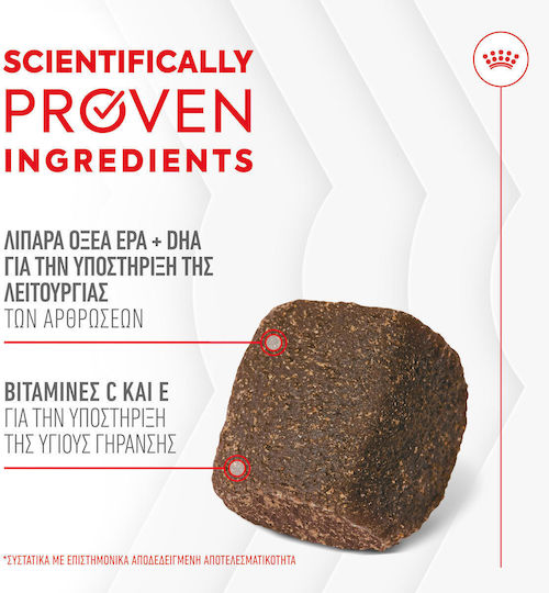 Royal Canin Joint & Ageing Chews Λιχουδιά Σκύλου 240gr για Αρθρώσεις