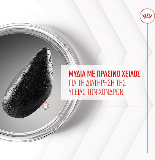 Royal Canin Joint & Ageing Chews Λιχουδιά Σκύλου 240gr για Αρθρώσεις