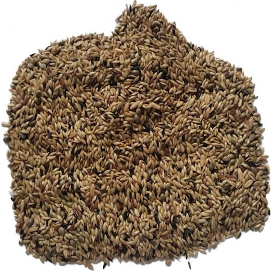 Pico Kanarische Inseln Nr 21 – Kanarische Inseln Mischung 20kg