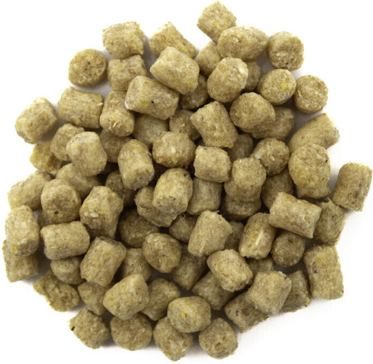 Zupreem 1 Kilo Vogelfutter Pellet Für Wellensittiche