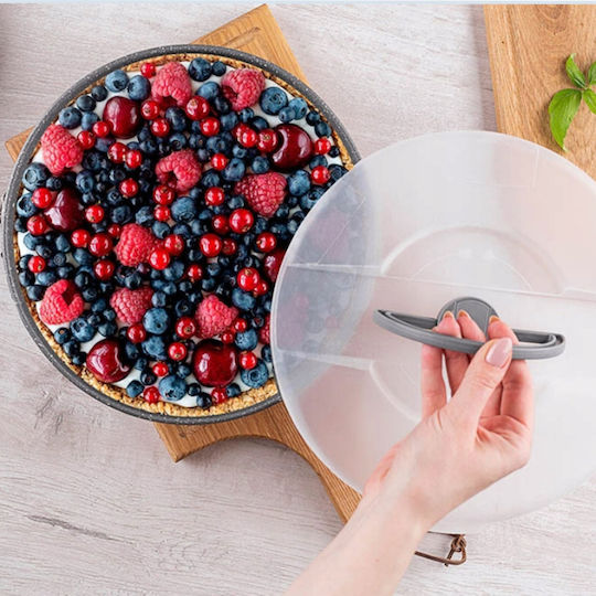 Brunbeste Backform Für Torte
