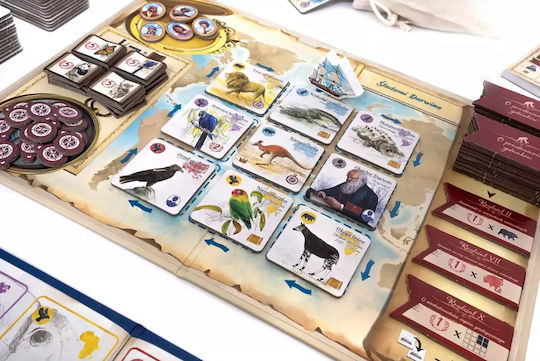 Board Game Evolutionary Insight Compendium for 2-5 Players 8+ Years Old (PL) Rebel Games