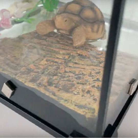 Insulă Plutitoare Pentru Țestoase Cu Magnet 27 X 15,5 X 4,5cm