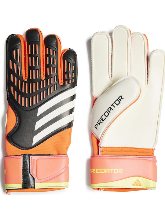 adidas Predator Gl Mtc Mănuși portar Adulți Colorate