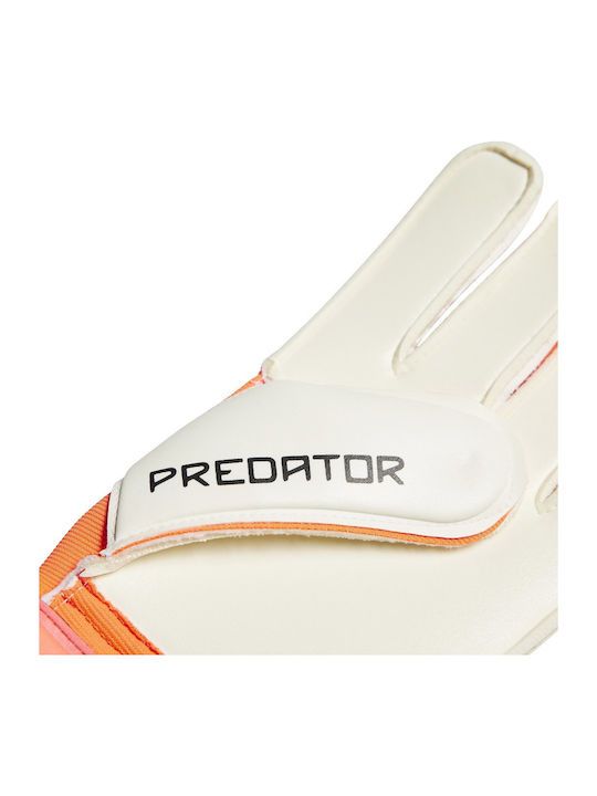 adidas Predator Gl Mtc Mănuși portar Adulți Colorate