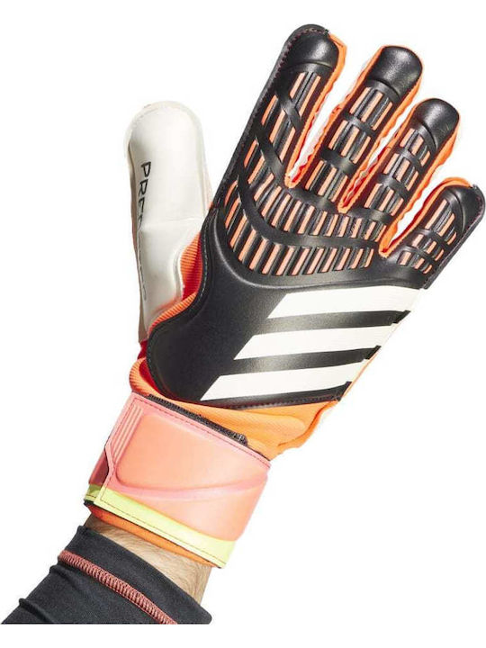 adidas Predator Gl Mtc Mănuși portar Adulți Colorate