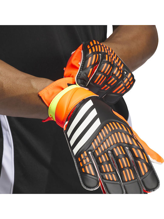 adidas Predator 20 Training Adults Goalkeeper Gloves Multicolour