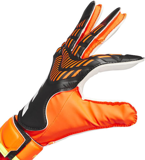 adidas Predator 20 Training Голмански ръкавици за Възрастни Многоцветни