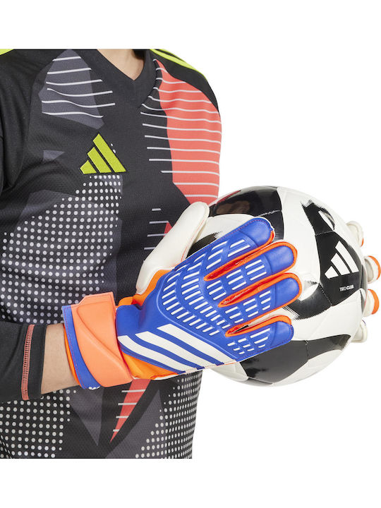 adidas Predator Match Голмански ръкавици за Възрастни Син