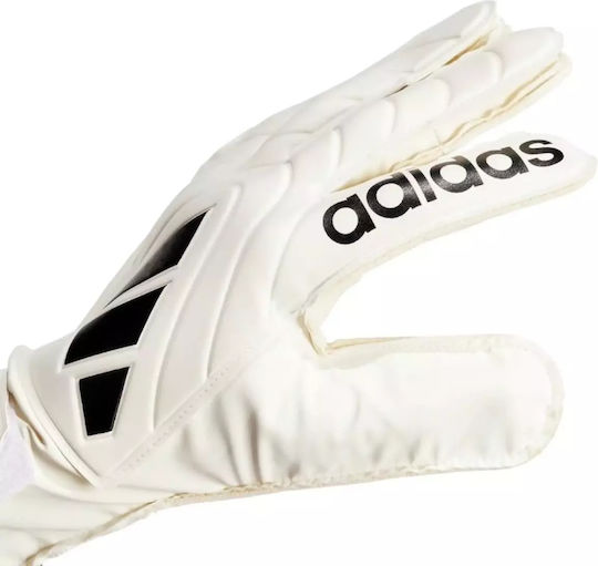 adidas Copa Gl Clb Голмански ръкавици за Възрастни Бежов