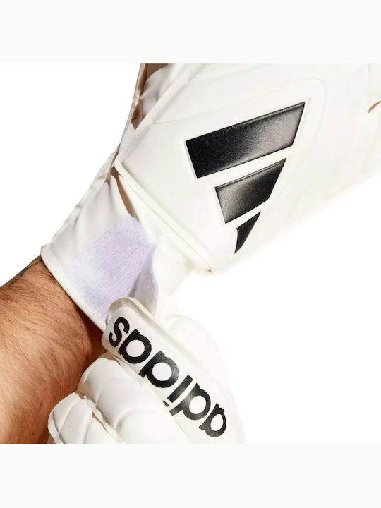 adidas Copa Gl Clb Γάντια Τερματοφύλακα Ενηλίκων Μπεζ