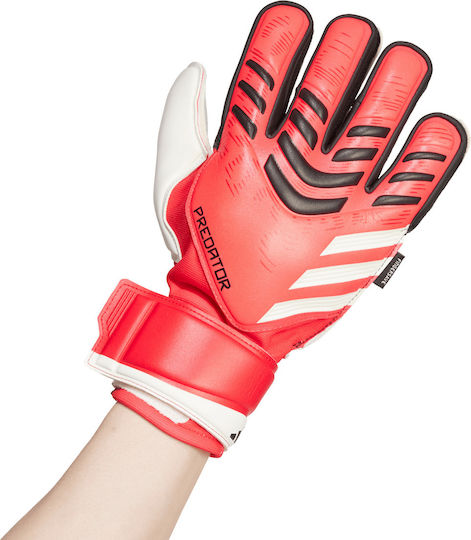 adidas Predator GL MTC FS Torwarthandschuhe Erwachsene Rot