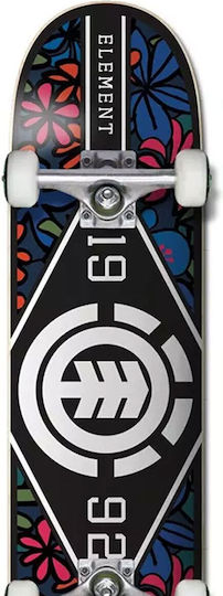 Element Complete Shortboard Πολύχρωμο