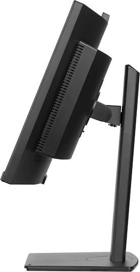 Iiyama ProLite XCB3497WQSNPH-B1 Ultrawide VA Curved Monitor 34" QHD 3440x1440