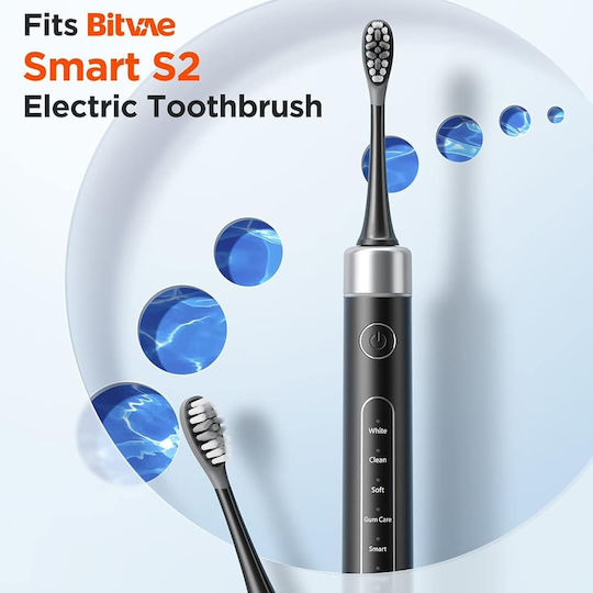 Bitvae Ersatzköpfe für Black 4 Stück