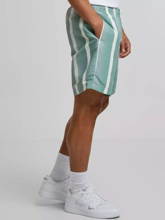 Men's Swimwear Shorts Green/white Striped