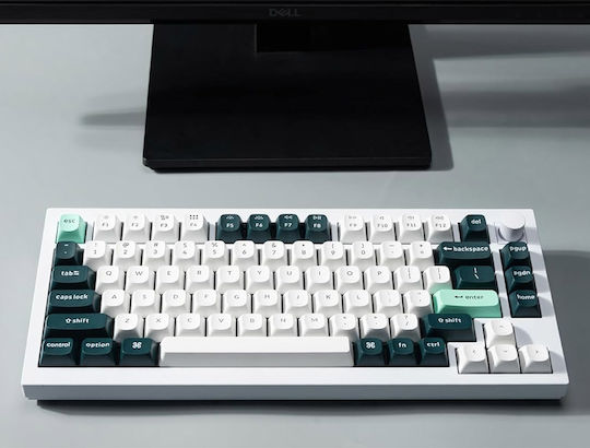 Keychron Q1H-P1 HE QMK Q1H-P1 Tastatură Mecanică de Gaming Fără Fir 75% cu Comutatoare Gateron Double-Rail Magnetic Purple și Iluminare RGB (Engleză SUA) Alb