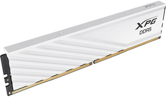 Adata 32GB DDR5 RAM mit 2 Modulen (2x16GB) und Geschwindigkeit 6000 für Schreibtisch