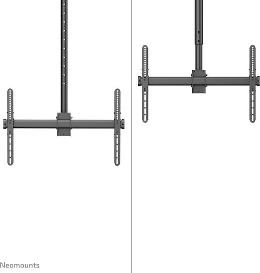 Suport TV Neomounts Cl35-440bl16l 177,8 cm 70" Negru