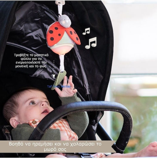 Taf Toys Pendant Toy for Car with Music for 0++ Months 13245