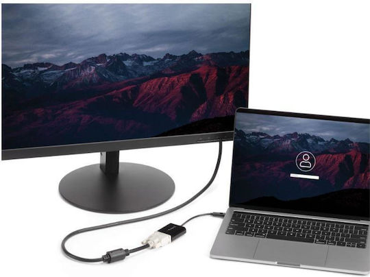 StarTech Konverter USB-C männlich zu DVI-I weiblich Silber 1Stück CDP2DVIEC