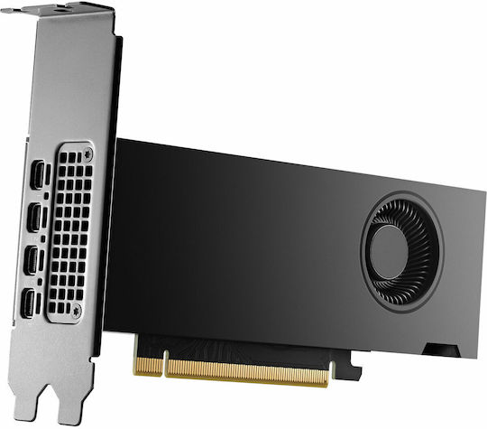 HP RTX 2000 Ada 16GB GDDR6 Grafikkarte
