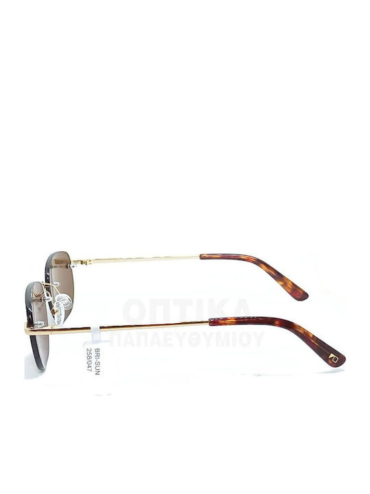 The Glass of Brixton Unisex Sunglasses with Gold Metallic Frame and Brown Lens BS258 10