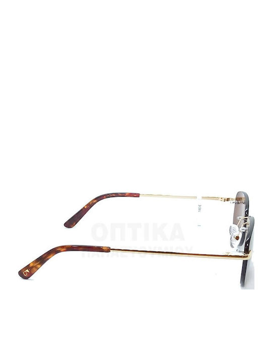 The Glass of Brixton Unisex Sunglasses with Gold Metallic Frame and Brown Lens BS258 10