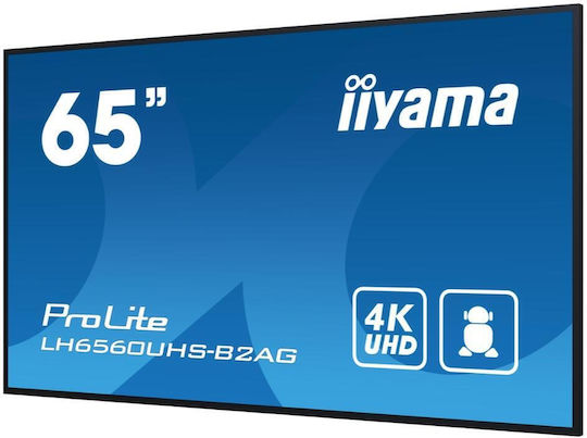 Iiyama Prolite Afișaj Public LCD VA 4K UHD 65"