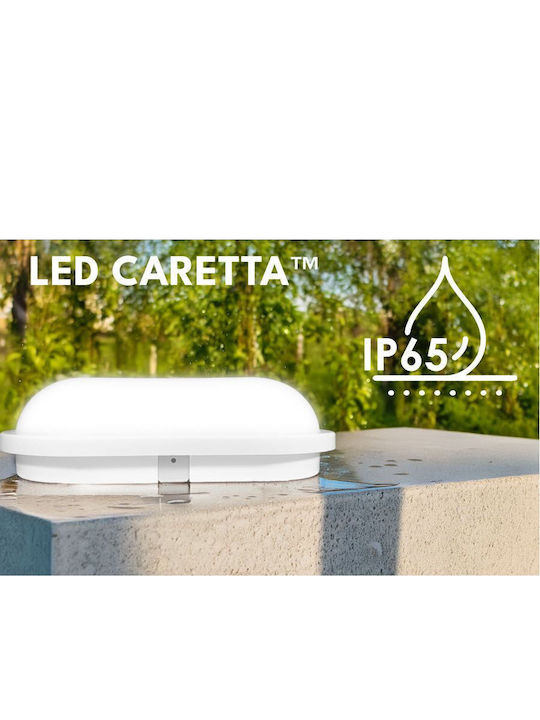 Elvhx Επιτοίχια Χελώνα Εξωτερική LED IP65 16W με Ψυχρό Λευκό Φως