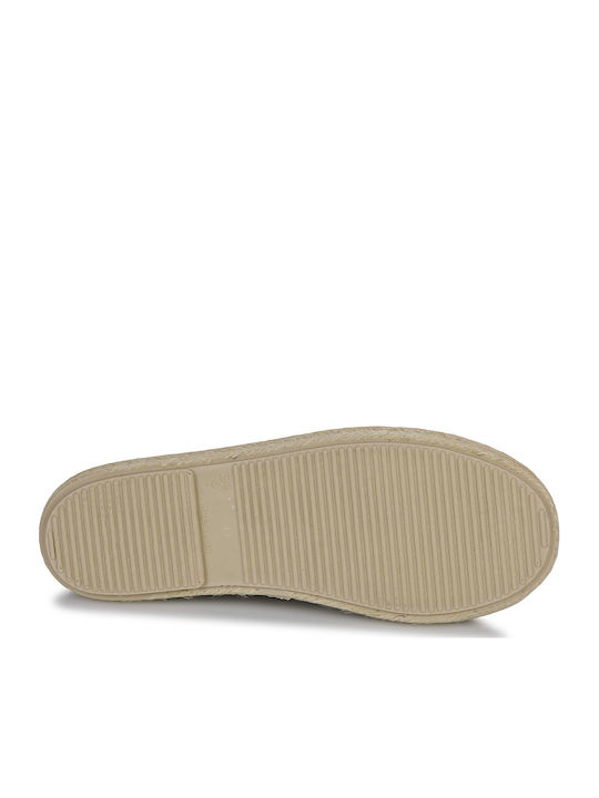Derbies Citrouille Et Compagnie Dinocle