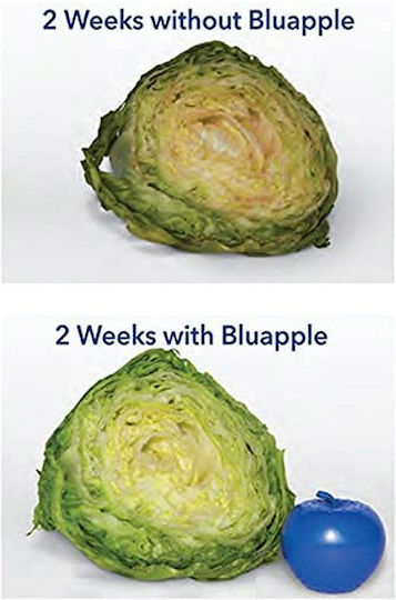 Blue Apple Fruit & Vegetable Protection Set – 2 Pieces Blue Apple Fruit & Vegetable Protection Set – 2 Pieces