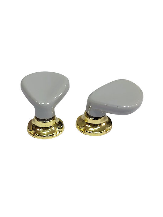 Italienischer Möbelknopf Acm 11424-000-ino1 Gold-Grau Durchmesser 30