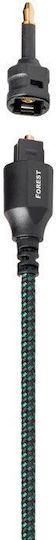 Audioquest Forest Cablu Audio Optic TOS masculin - TOS masculin Negru 5m (OPTFOR05)