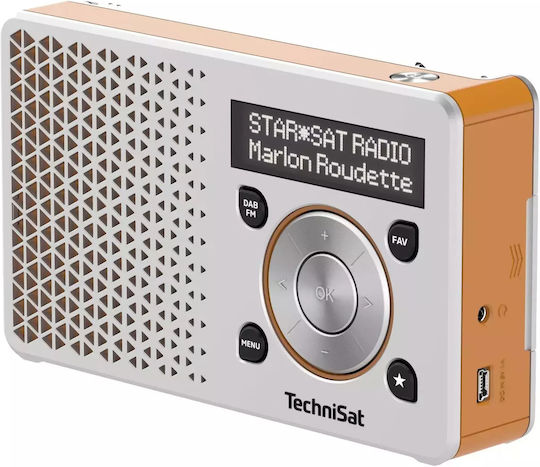 Technisat Digitradio 1 Cu baterie DAB+ cu USB Argintiu