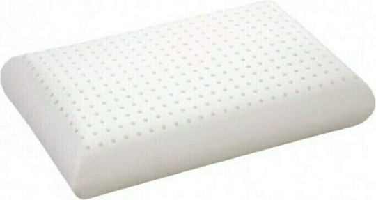 Μαξιλάρι Ύπνου Latex Douceur 40x60x14 Αφαιρούμενο Κάλυμμα Aloe Vera Μέτριο Μαξιλάρι Ύπνου Latex Douceur 40x60x14 Αφαιρούμενο Κάλυμμα Aloe Vera Μέτριο