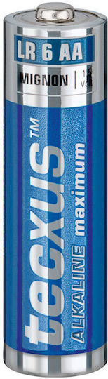 Tecxus Maximum Αλκαλικές Μπαταρίες AA 1.5V 24τμχ