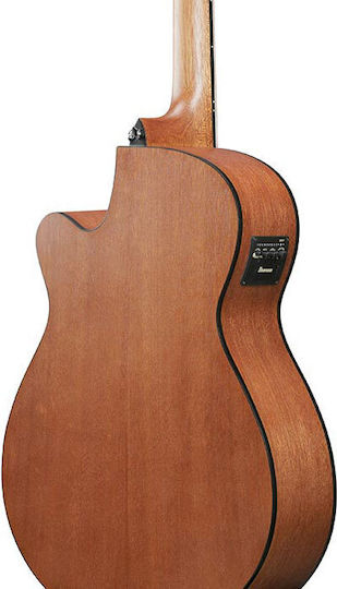 Ibanez Acoustic Guitar Natural / Open Pore
