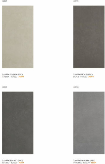 Argenta Tanum 30x60 Fliesen Granit Spanien