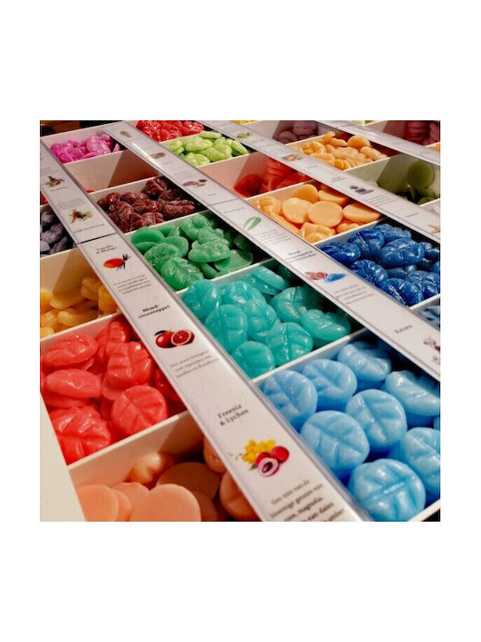 Scentchips Wax Melts Moon Flower 8τμχ