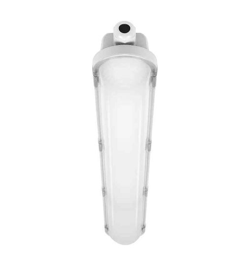 Ledvance Lumină Batten Pentru Exterior cu LED Integrat 60buc