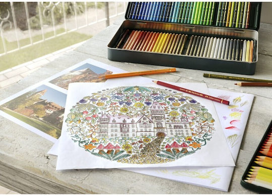 Faber-Castell Polychromos Colored Pencil Set Package of 1 packages