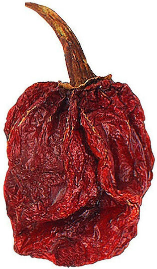 MPACHARADIKO Gewürzkarolina Reaper 1 Stück