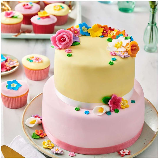 Fondant Icings 5 Shades Of Pink Set 5x100 Grams Pink Palette